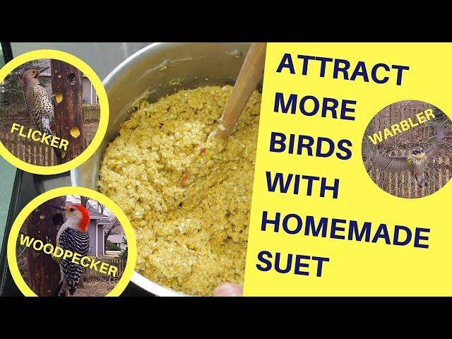 How to Attract More Birds with Homemade Suet 2018