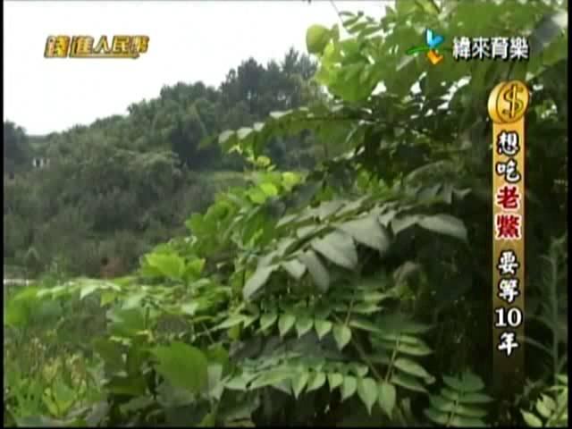 錢進人民幣  20131011