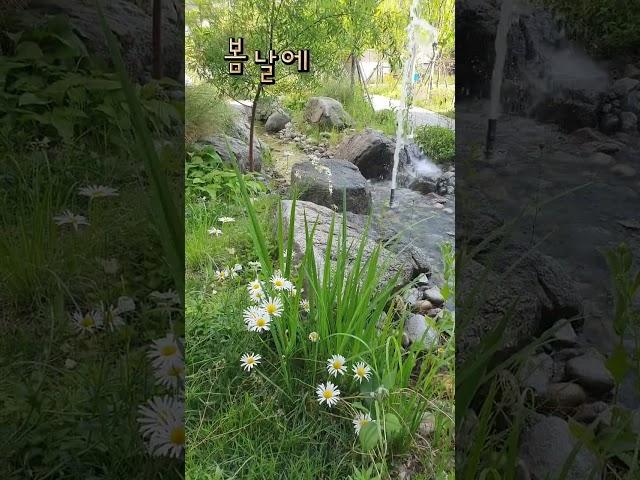 그대를 만나는 그날 찾아오면  나 잡은 두손 꼭 놓지 않을게요 #김호중 #kimhojoong  #봄날에 #세상