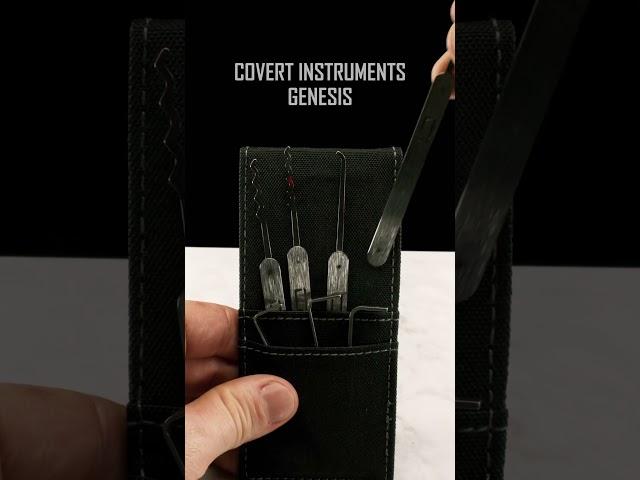 Echelon Lock Pick Set