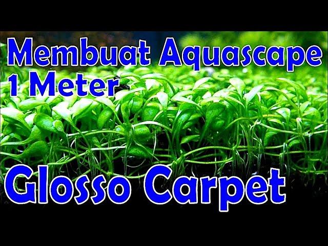 100cm Aquascape With Glossostigma Carpet Plants - Step by Step Tutorial