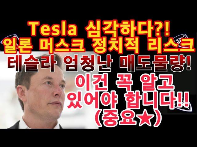 Tesla 심각하다?! 일론 머스크 정치적 리스크까지..테슬라 엄청난 매도물량!이건 꼭 알고 있어야 합니다!!(중요) /테슬라 투자