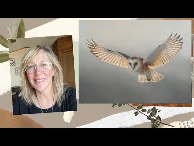 NATO Plane Mystery, Secrets, Owl Spirit’s Powerful Message