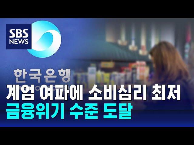 계엄 여파에 소비심리 최저…금융위기 수준 도달 / SBS