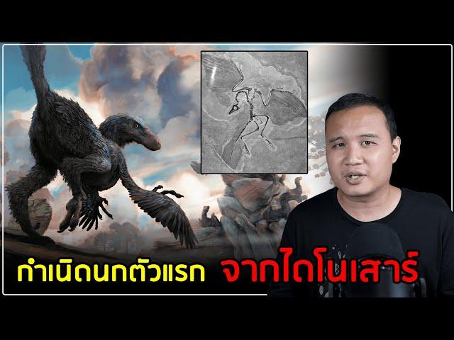 รอยต่อระหว่างไดโนเสาร์กับนก (กำเนิดสายพันธุ์นกตัวแรก)