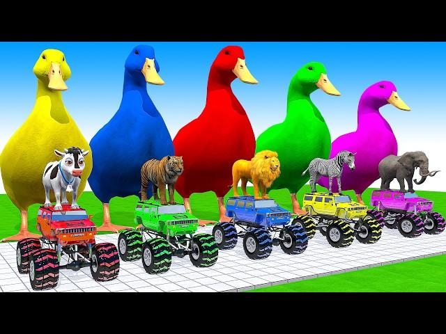 5 Giant Duck Cartoon, Cow, Mammoth, Elephant, Tiger, Paint Wild Animals Crossing Fountain Animation