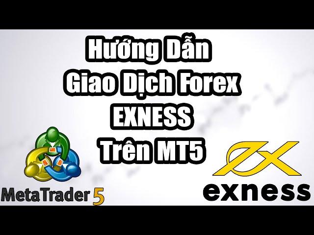 Hướng Dẫn Giao Dịch Forex Trên MetaTrader 5 2024