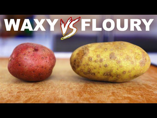 Waxy vs floury potatoes (creamy vs mealy, boiling vs baking, etc)