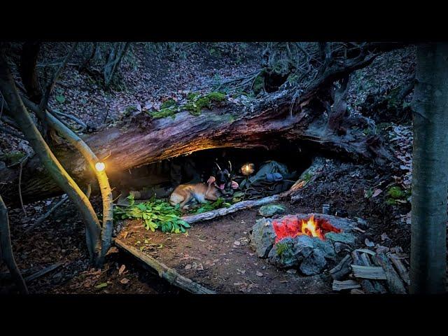 Wild Camping in Primitive Survival Shelter - Natural Bushcraft Shelter, Nature Sounds, Asmr, Diy