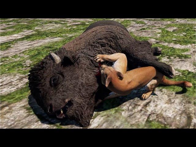 All preys hunted by all carnivores - Far Cry 5 - Gameplay