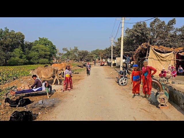 Some Of The Most Unique Villages Of India [] Life Of Poor People In Uttar Pradesh [] Real Life..