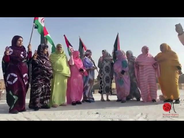 Saharawi Women Activists - Western Sahara