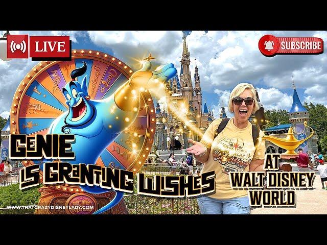 Wishing Wheel at Disney World 11/8/24  #live