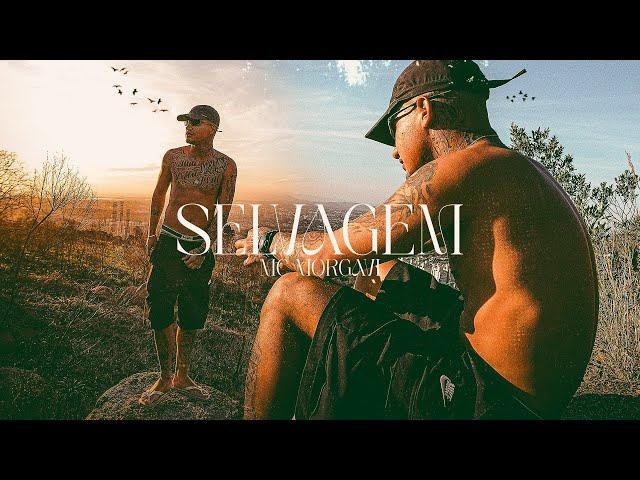 Mc Morgavi - Selvagem Prod. Dreybeatzz