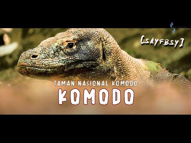 'The Dragon' KOMODO, Pesona dari TAMAN NASIONAL KOMODO