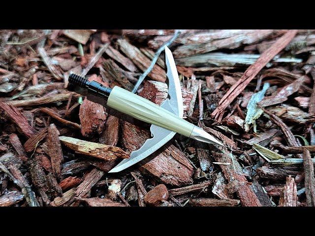 Is the Beast Broadhead Worth the Hype?