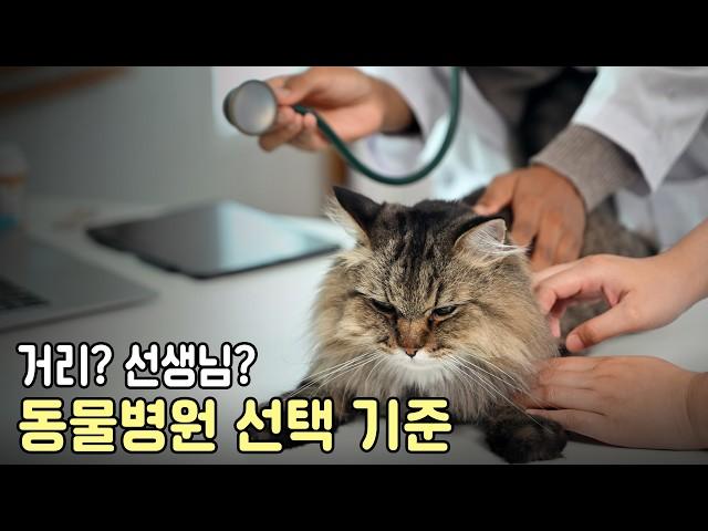 어떤 동물병원이 좋은 동물병원 일까?