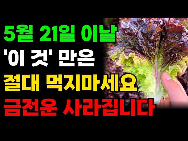 5월 21일 이날 '이것'은 절대 먹지마세요, 금전운 사라집니다｜소만날 '이 것만은' 꼭 드세요ㅣ소만에 절대 하면 안되는것, 꼭 해야하는 것ㅣ재물운 돈복 대운 징조 부자