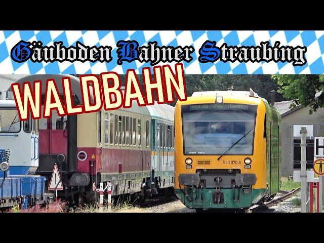   WALDBAHN - Blick aus dem Fenster bei der Abfahrt in Viechtach   # 045