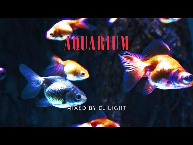 Bronze(브론즈) - [Aquarium] Mixed by DJ Light