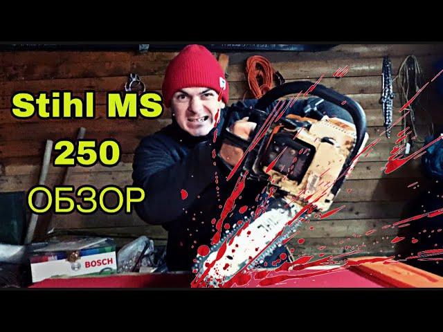 Бензопила универсальная Stihl MC 250 честный обзор от  арборист #обзор#бензопила#заготовкадров