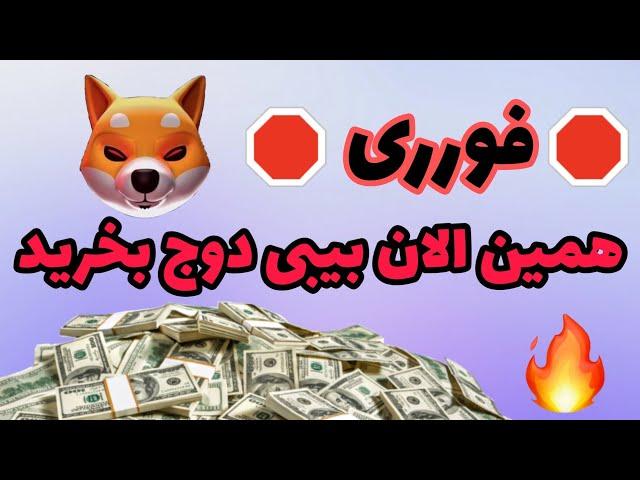 فوری پس از شکست روند نزولی بیبی دوج بخرید/هولدرهای بیبی دوج این ویدیو رو حتما ببینن