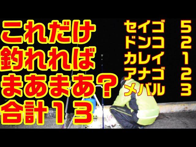 漁港からの投げ釣り！魚種もそこそこ？釣りチューバーへの第一歩はやさしい漁港からスタート！