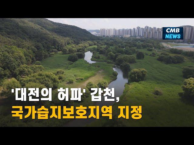 [대전뉴스] '대전의 허파' 갑천, 국가습지보호지역 지정