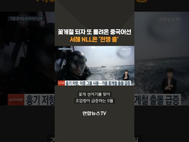 꽃게철 되자 또 몰려온 중국어선…서해 NLL은 '전쟁 중' #shorts / 연합뉴스TV (YonhapnewsTV)
