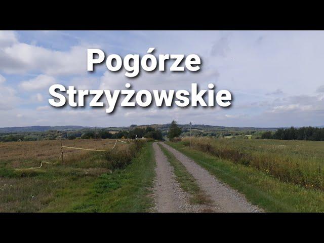Pogórze Strzyżowskie - geografia