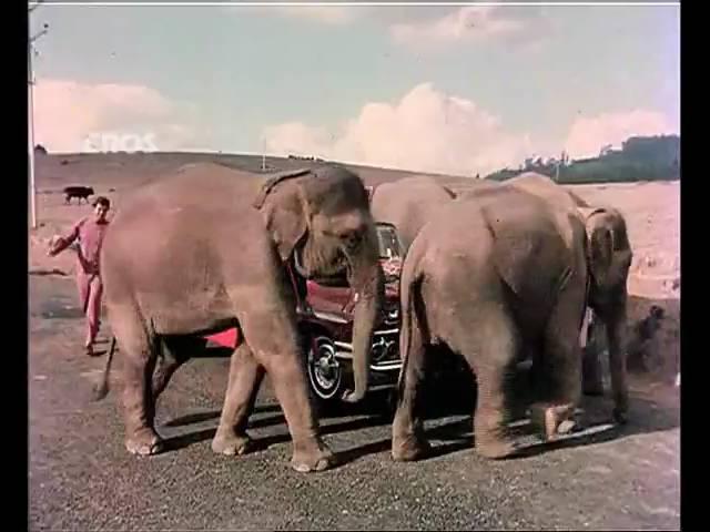 Chal Chal Chal Mere Saathi (Old Video Song) | Haathi Mere Saathi | Rajesh Khanna & Tanuja