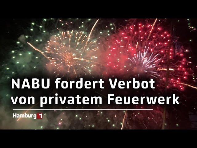 Wegen Feinstaubbelastung und Problemen für Tiere: NABU fordert privates Feuerwerksverbot