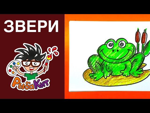 Как нарисовать ЛЯГУШКУ - Звери РыбаКит