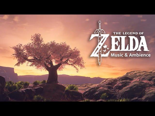 Relaxing Zelda Music for Study/Chill/Sleep [NO ADS]