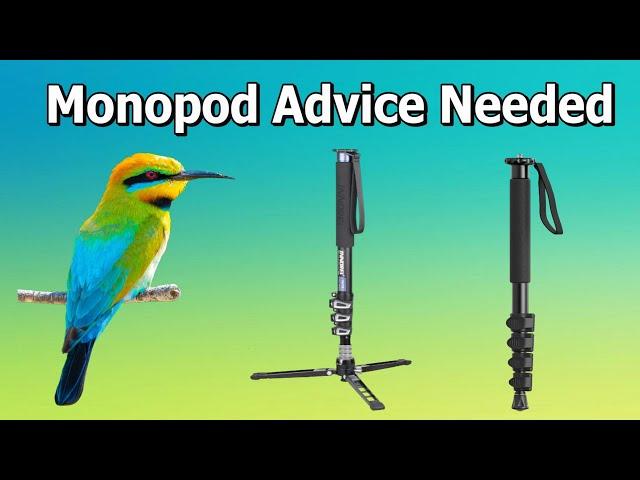 Monopod Advice Needed for Bird Photography