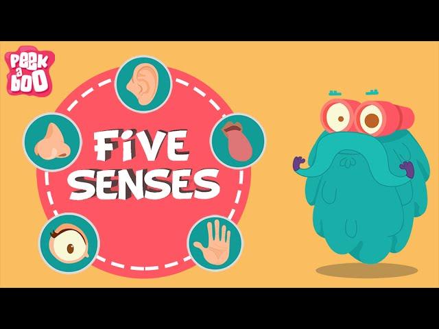 The Five Senses | The Dr. Binocs Show | Educational Videos For Kids