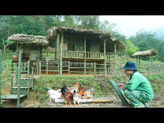 66 days CT finished building a solid stilt house and started building a livestock farm