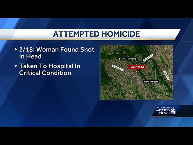 Stowe Township attempted homicide