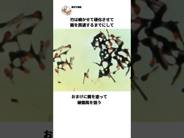 【まさに地獄の黙示録】米兵たちをトラウマの渦に巻き込んだベトナム戦争時のベトコンによる罠の雑学