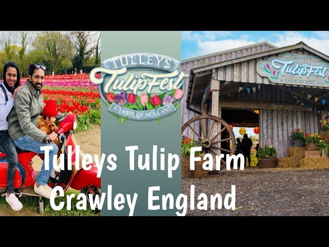 Tulleys Tulip Fest Crawley England. #tulip #tulipfestival #crawley #england #ukmalayalam