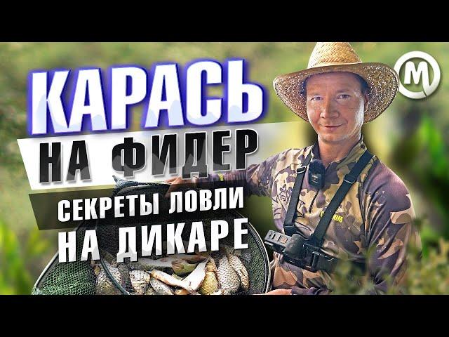 Карась на фидер! Секреты ловли на дикаре