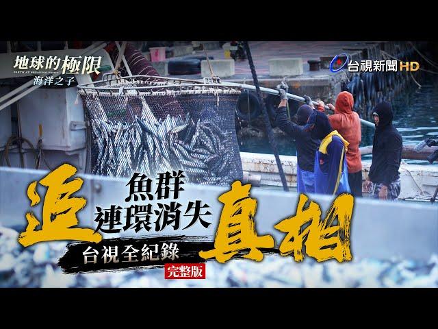 追！魚群連環消失真相 台視全紀錄【地球的極限】｜海洋之子｜完整版