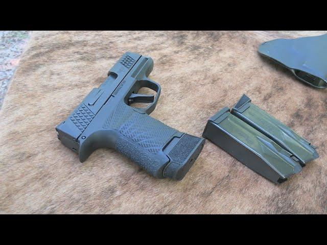 Wilson Combat WCP365 SIG