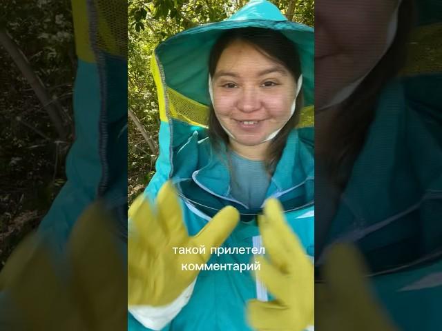 Не верится … #деревня #пасека #пчелы #мёд #маточноемолочко #красота #жизньвдеревне #жизнь
