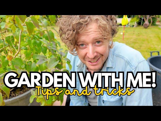 SEPTEMBER GARDEN MAINTENANCE VLOG | Pruning, repotting, cuttings, tricks, hacks and advice!