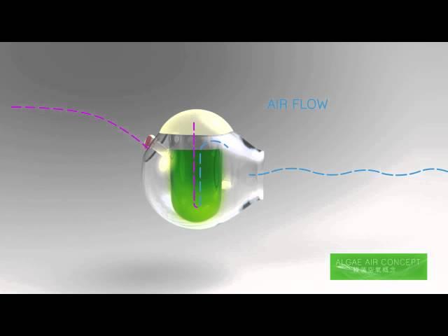 Algae Air Concept