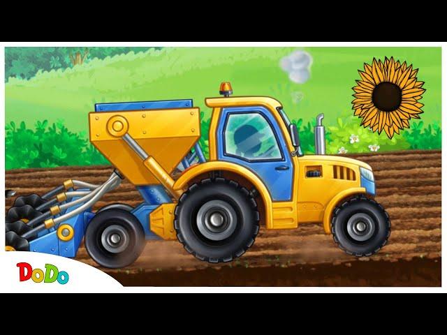 Traktor baut Sonnenblumen an | Kindervideo ab 1 Jahr | DoDo | Traktor, Trecker, Mähdrescher