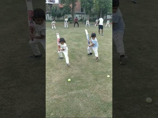Cricket #shorts #girls #cricket #academy #girlscricket