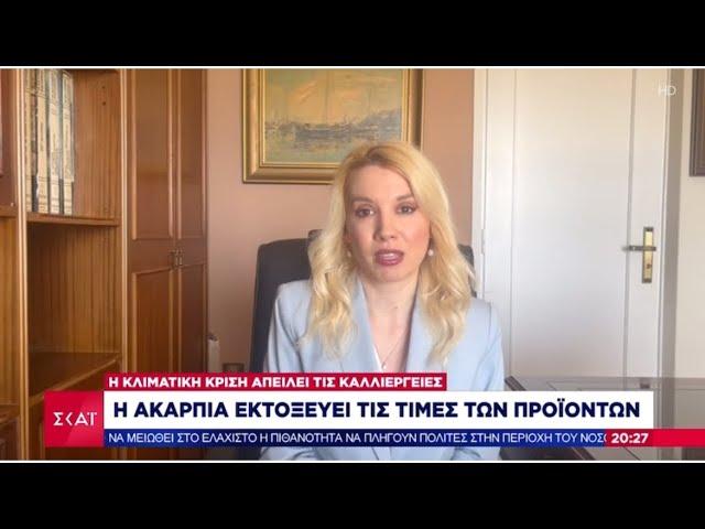 Η ακαρπία εκτοξεύει  τις τιμές των προϊόντων | Δάφνη Γρηγοριάδη Οικονομική Αναλύτρια
