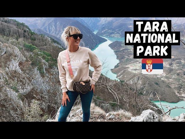 SHOCKED at SERBIA'S Natural PARADISE! Tara National Park! You Will Not BELIEVE This Is SERBIA!